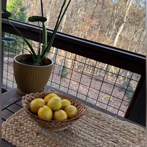 Vintage set of 2 Woven Baskets with Lemons 🍋